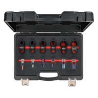 Reparatiegereedschapsset uitlaatgassonden 12-delig