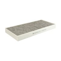 Interieurfilter Carbon  MAN TG- Nw