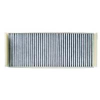 Interieurfilter MAN Carbon