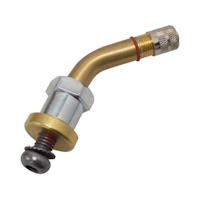 TPMS-ventiel VW messing gebogen 45°