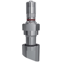 TPMS-ventiel VW Alcoa 34,5MS recht 22°