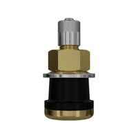 TPMS ventiel VW Staal 29MS/16mm recht